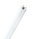 010526 Лампа люминесцентная L36W/76 G13 NATURA DELUXE OSRAM, Везен из РФ.