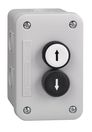 XALE2235 Кнопочный пост 2 кнопки бел.черн  Schneider Electric,