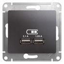 GSL001333 Розетка USB с/у 5В/2100мА (графит, б/рамки),