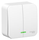 Выключатель 2-кл. ОП Blanca 10А IP20 (сх. 5) 250В с подсветкой с изолир. пластиной бел. SE BLNVA1051,