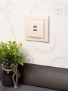 Минск Розетка USB 2-местная СП 2,1А бежевая EKF