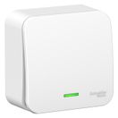 Выключатель 1-кл. ОП Blanca 10А IP20 (сх.1) 250В с подсветкой с изолир. пластиной бел. SE BLNVA1011,