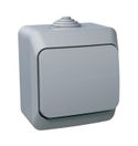 Этюд Выключатель о/у 1кл. IP44 (серый) (250В, 10АХ) BA10-041C,